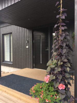 Дверь входная Kaski Puudesign Tyrsky, М9x21, правая, замок LC200, цвет Kaskipuun kuultomusta(Borgå),черный