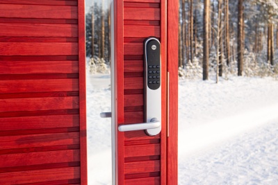 Дверь входная Kaski Puudesign Loimu