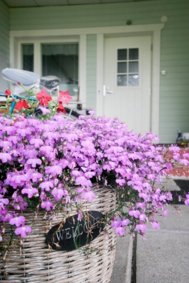 УЦЕНКА (№13) UOL1 (L1T1023WR2) Thermo KASKI со стеклом, Белая NCS S 0502-Y, 10*23, ПР, замок  LC200