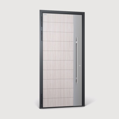 Уличная алюминиевая дверь с терморазрывом TX-1