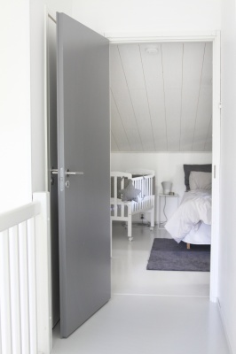 Дверь усиленная окрашенная SWEDOOR by Jeld-Wen Steady 411 фотография