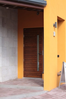 Дверь входная Kaski Puudesign Nova