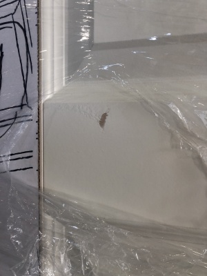 Дверь белая филенчатая SWEDOOR by Jeld-Wen Style 1, М9*21, №4 фотография