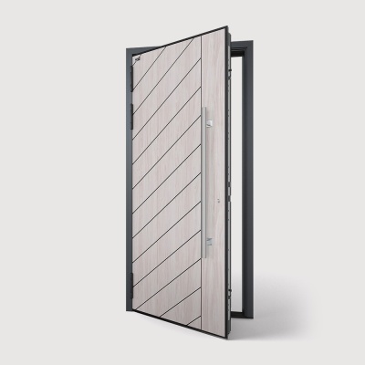 Уличная алюминиевая дверь с терморазрывом TX-3