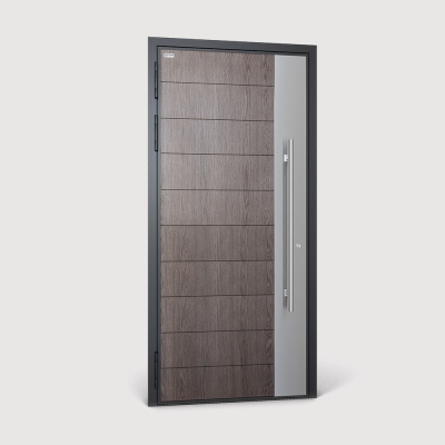 Уличная алюминиевая дверь с терморазрывом TX-1