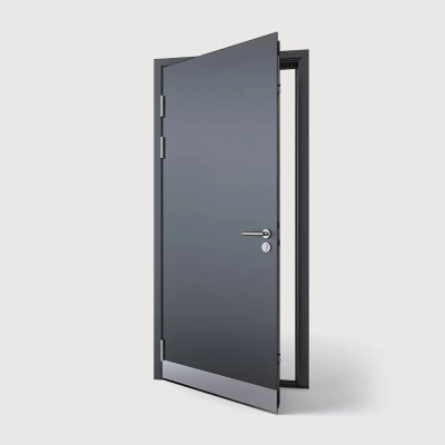 Входная дверь для частного дома TP-4