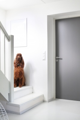 Дверь усиленная окрашенная SWEDOOR by Jeld-Wen Steady 411 фотография
